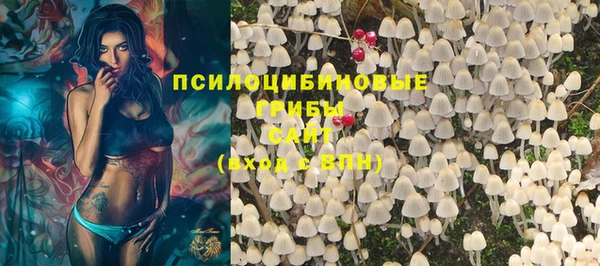 тгк Алексеевка