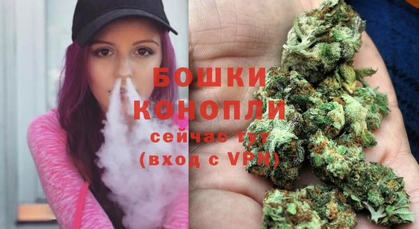 МДМА Новозыбков