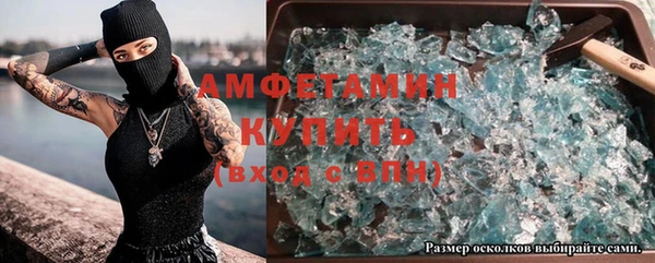 индика Алзамай
